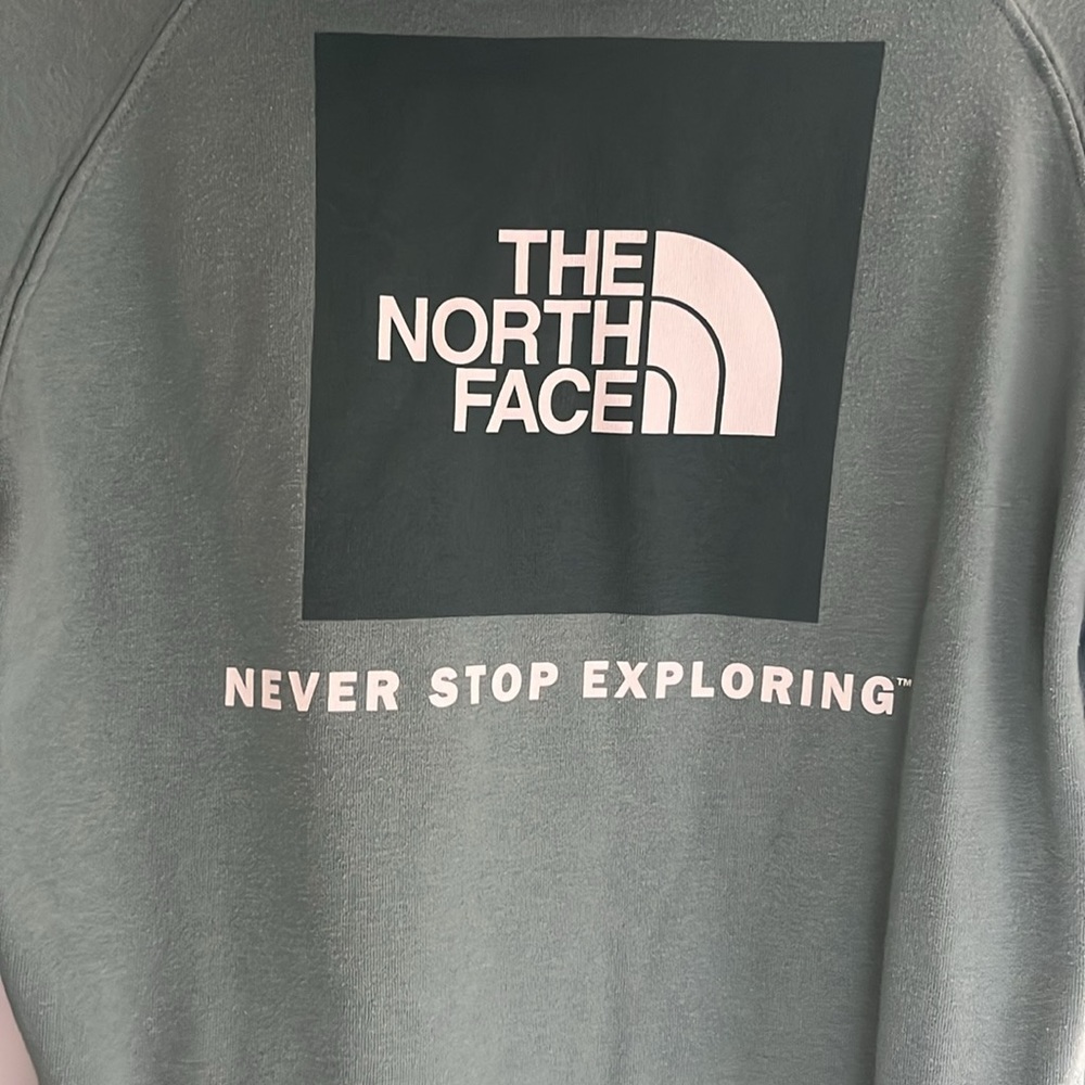North Face Hoodie View 2